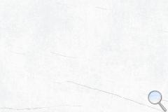 Dlažba Fineza Vision bílá - DAK63386.1-006